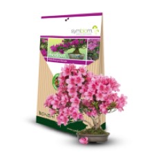 Hortenzie a Rododendrony sú šperkami záhrad