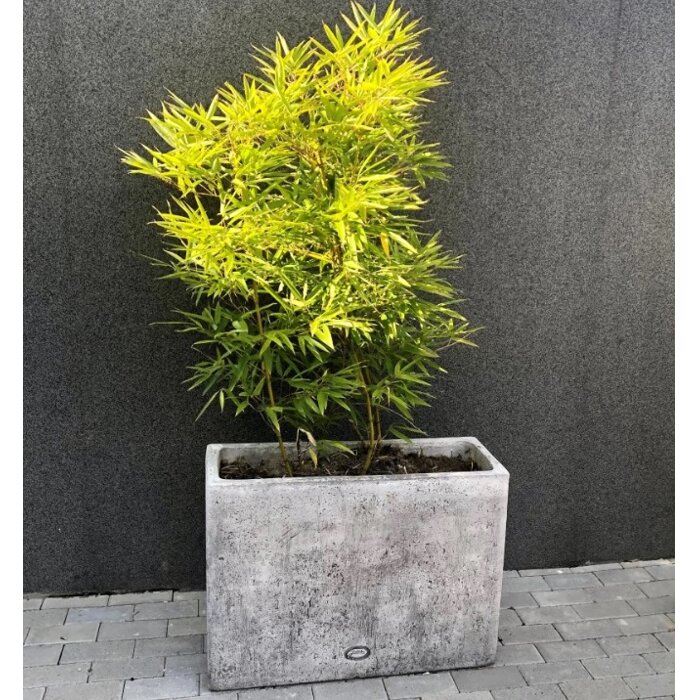 Kvetináč INNOVA Minimal ''M'' - vysoká