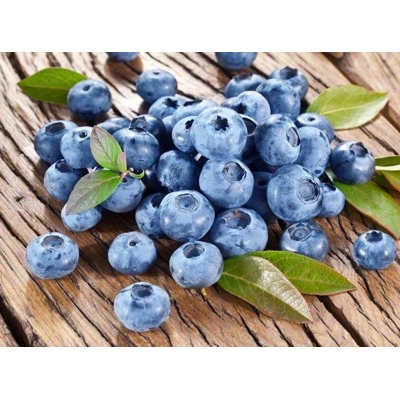 ?u?oriedky - Vaccinium corymbosum ´Bluecrop´-  30/40cm