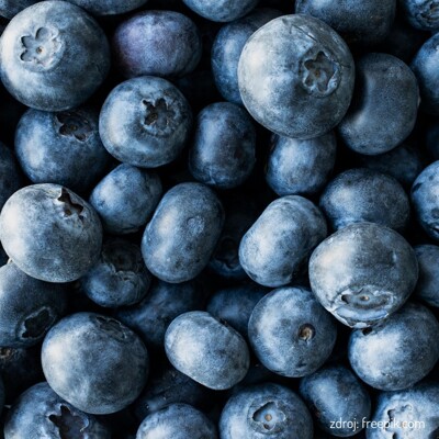 ?u?oriedka - Vaccinium ´BLUEGOLD´ - 40/60cm