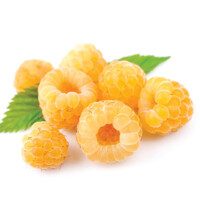 Malina žltá - Rubus idaeus 'Fallgold' - 40+