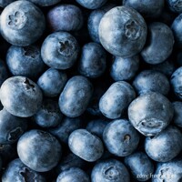 ?u?oriedka - Vaccinium corymbosum  ´Northland´ - 40/60cm