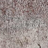 Kvetináč MONARCHIA